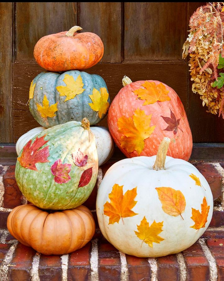 30+ Stylish Pumpkin Painting Ideas for Thanksgiving Decor