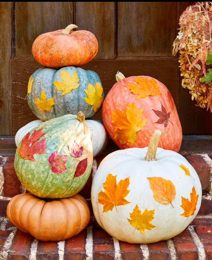 30+ Stylish Pumpkin Painting Ideas for Thanksgiving Decor
