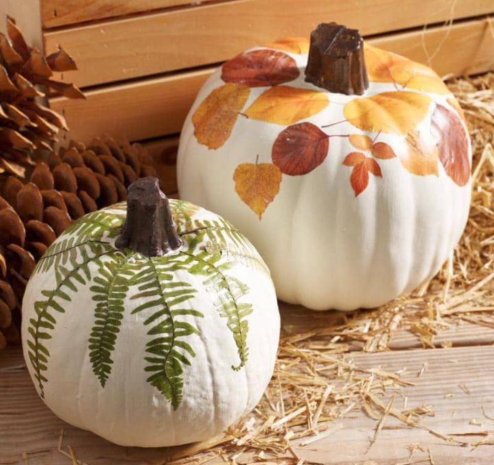 30+ Stylish Pumpkin Painting Ideas for Thanksgiving Decor