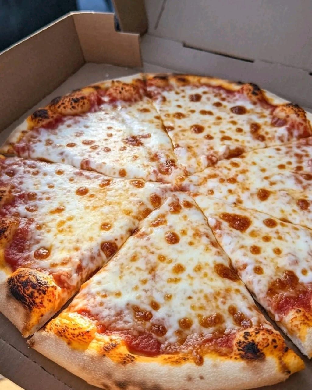 Cheese Pizza