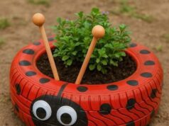 10 Easy Home Garden Ideas for Absolute Beginners