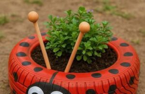 10 Easy Home Garden Ideas for Absolute Beginners 10 Easy Home Garden Ideas for Absolute Begin Cover