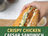 Crispy Chicken Caesar Sandwich Crispy Chicken Caesar Sandwich Cover