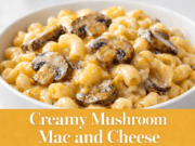 Creamy Mushroom Mac and Cheese Creamy Mushroom Mac and Cheese Cover