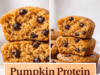 Pumpkin Protein Muffins with Yogurt Pumpkin Protein Muffins with Yogurt Cover