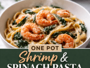 One Pot Shrimp and Spinach Pasta One Pot Shrimp and Spinach Pasta Cover