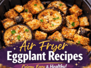 Air Fryer Eggplant Recipes Air Fryer Eggplant Recipes Cover